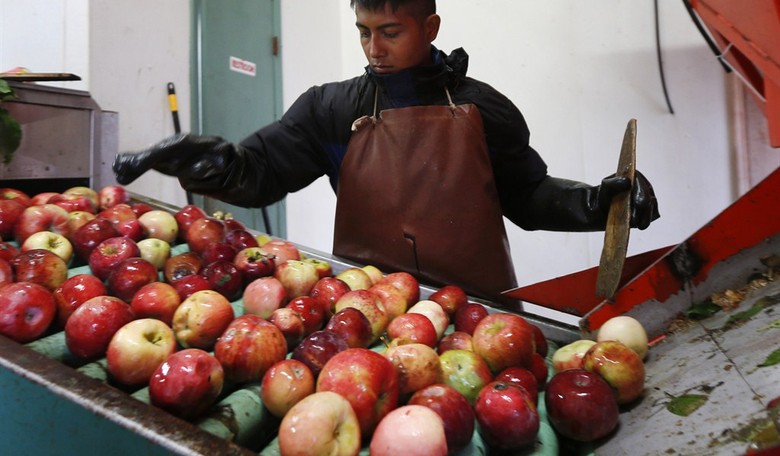 Politics and the Death of Food Innovation