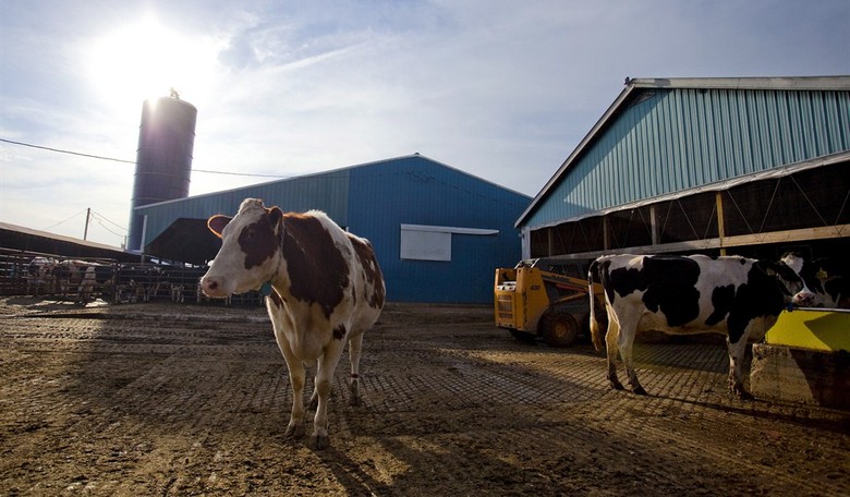 The Farm Bill Leaves a Sour Taste