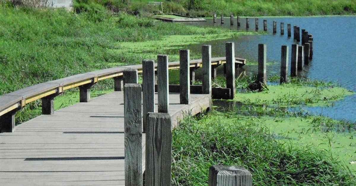 One Mom Let Her Son Walk to a Pond. Another Killed Three Kids. Guess Which One Was Easy to Punish