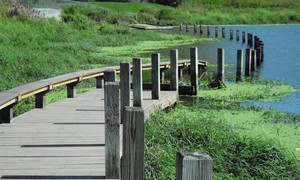 One Mom Let Her Son Walk to a Pond. Another Killed Three Kids. Guess Which One Was Easy to Punish