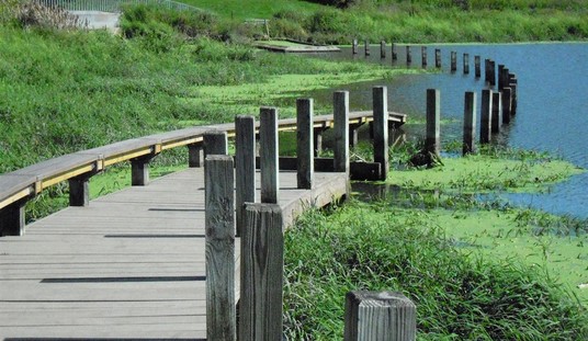 One Mom Let Her Son Walk to a Pond. Another Killed Three Kids. Guess Which One Was Easy to Punish