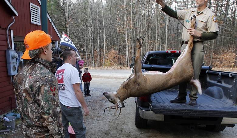 Serving Bambi to an Anti-Hunter 