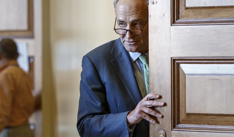 What Schumer Wants to Embrace