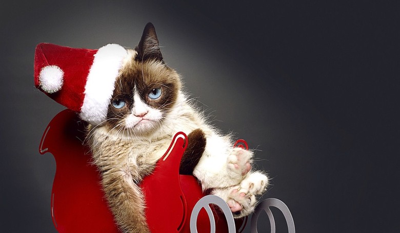 'Tis the Season: The Fight Against All Things Christmas is in Full Swing