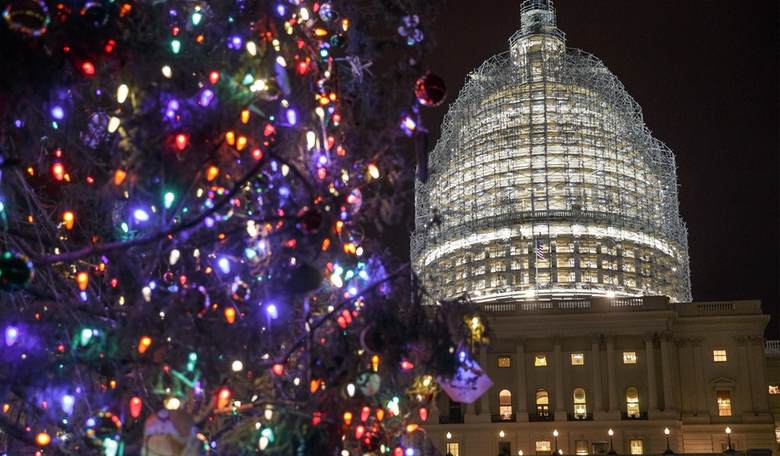 All I Want for Christmas is a (Real) Government Shutdown