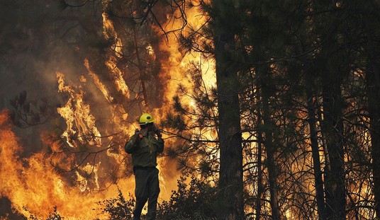 Salvation and Conservation, or Ruination and Confiscation?