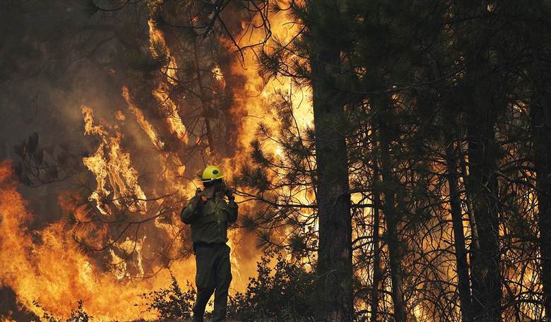 Salvation and Conservation, or Ruination and Confiscation?