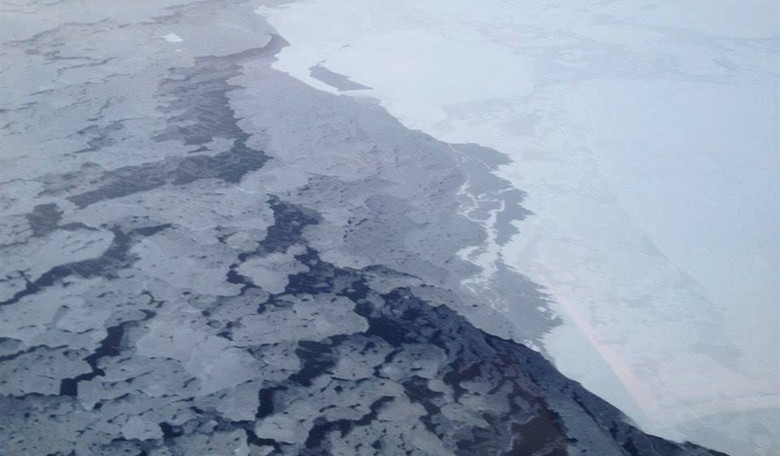 Greenpeace Showcases its Anti-Human Side  