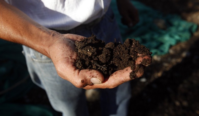 In Seattle, Composting Outranks Privacy