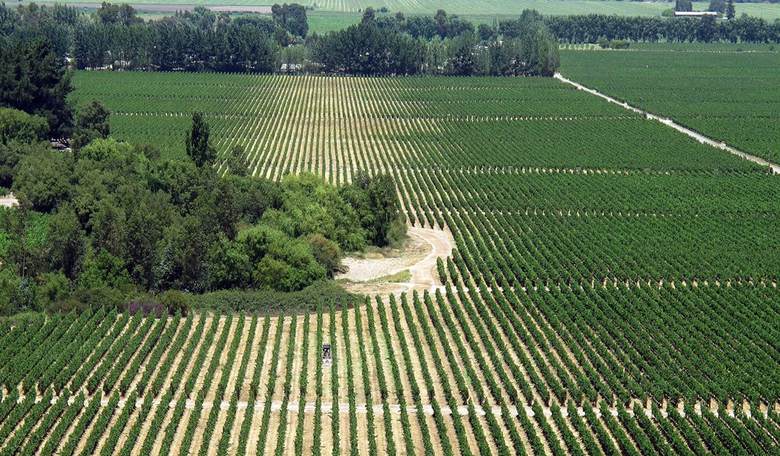 The Other Story From Rural Western America: Federal Agencies Choking Off The Farming Industry