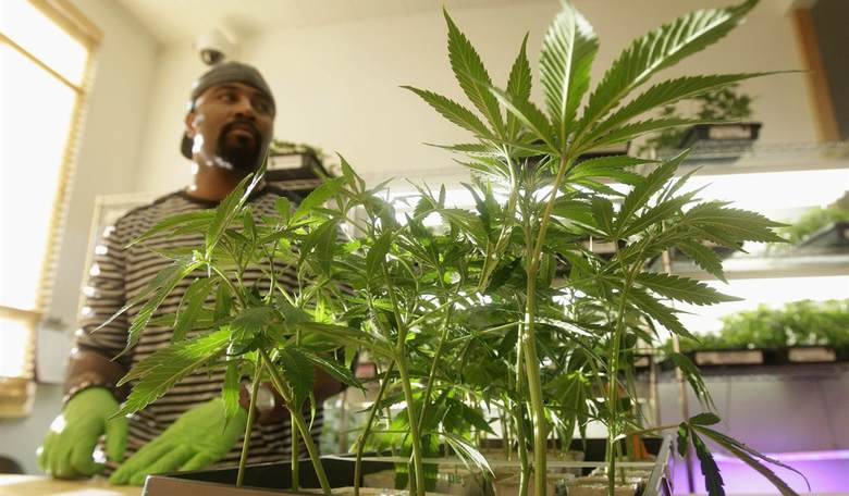 America's Founders and Legalizing Marijuana (Part 3)
