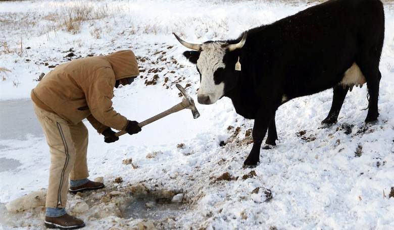 The FDA’s Double-Barreled Assault on Farmers