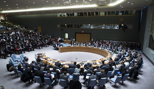 What is U.S. Money Actually Funding at the UN and Overseas?
