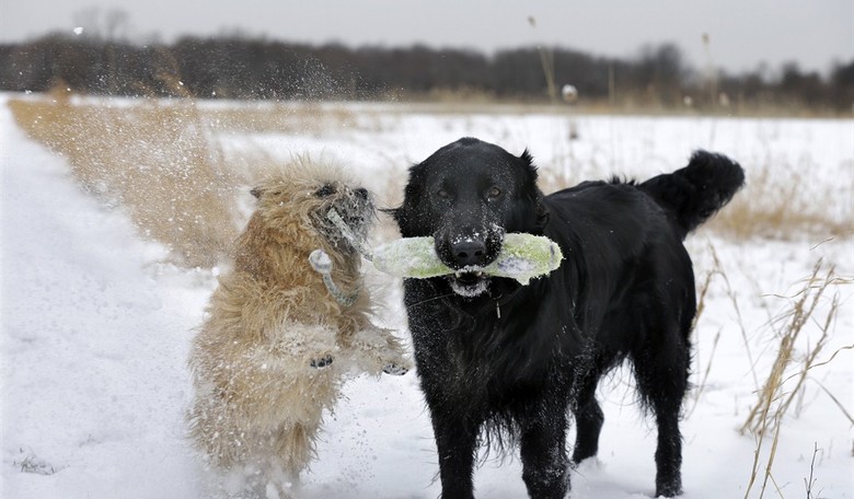 Losing Your Best Friend