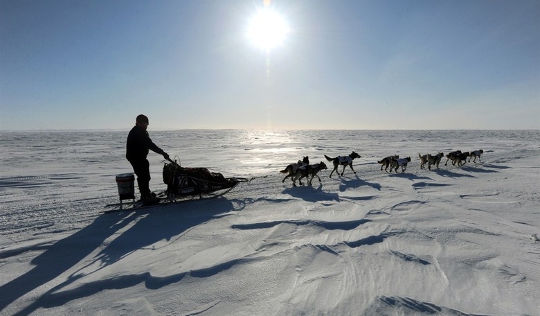 The Iditarod on 12,000 Calories a Day
