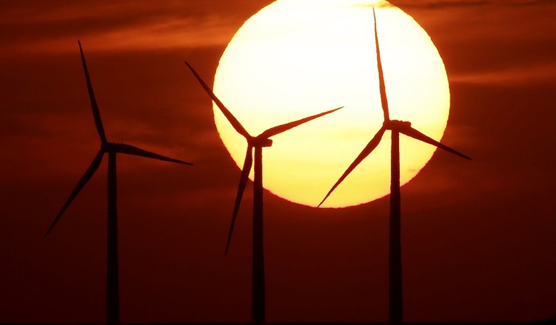 Blood on the Blades: Is Bird Life Facing Global Catastrophe from Wind Turbines?