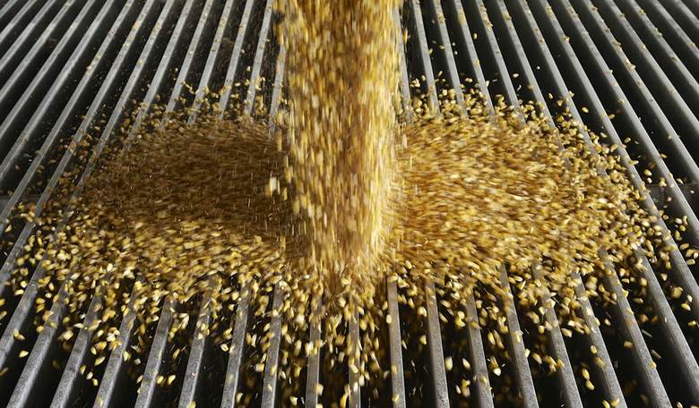 Trumping Hydrocarbon Fuels and Consumers