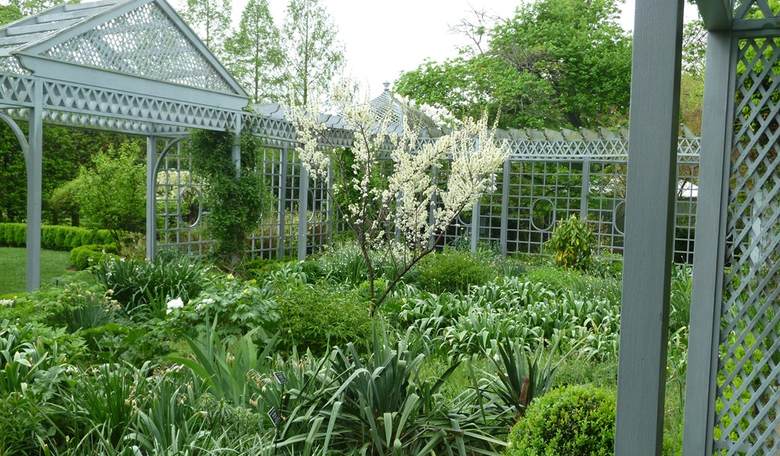 You Won't Believe Why This Act of Vandalism Was Committed at University's Beloved Peony Garden 