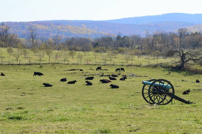 Lincoln Believed That the Civil War Was God’s Will, Unfathomable As It Seemed