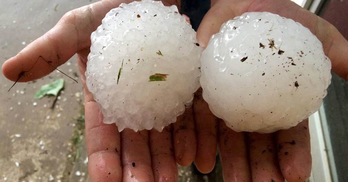 Wisconsin's Secretary of State Has a Meltdown Over Hail in Her Front Yard