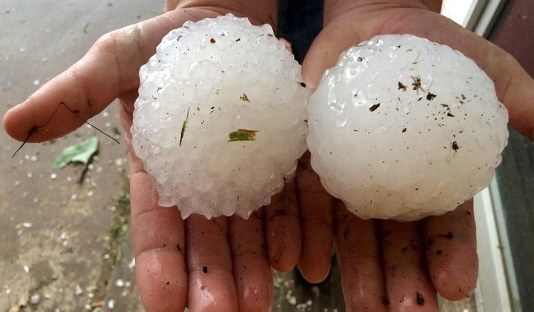 Wisconsin's Secretary of State Has a Meltdown Over Hail in Her Front Yard