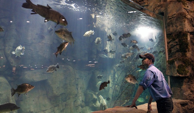 'Nekkid as a Jaybird': Alabama Man Arrested After Cannonball Into Bass Pro Shop Aquarium