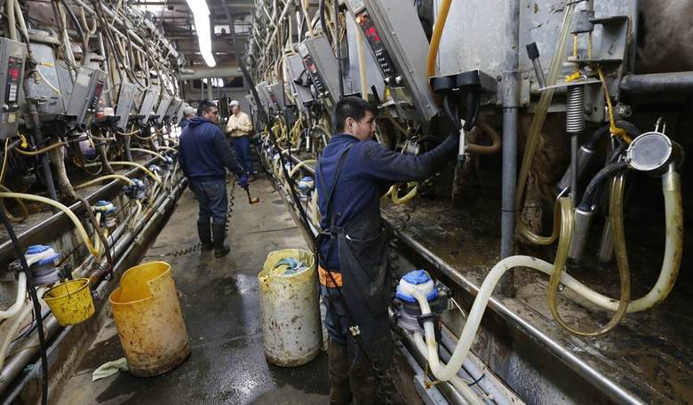 CNN Host Calls for Illegals to Continue 'God-Awful Work' in the Dairy Industry