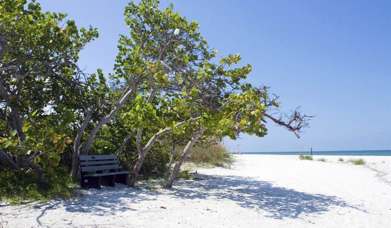 What This City Is Trying to Do Is Quintessentially Floridian 