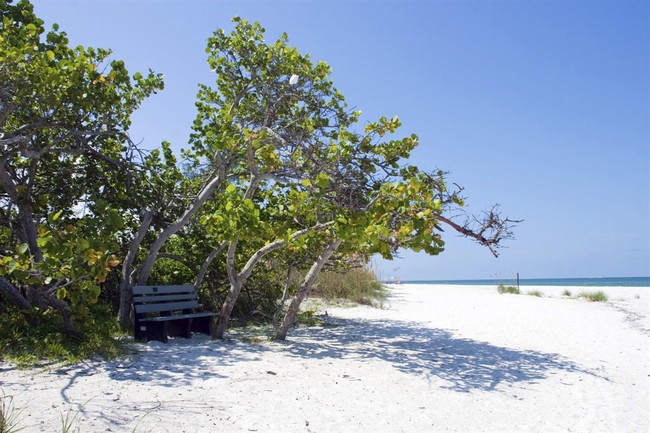 What This City Is Trying to Do Is Quintessentially Floridian - Vimarsana News