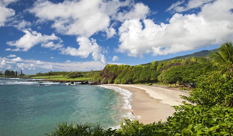Video: Dem Congressional Candidate Arrested for Terroristic Threats After Getting KO’d on Maui Beach