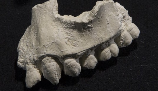 For 305 Years, the Royal Anne’s Dead Were Missing Until Arthur Found a Tooth