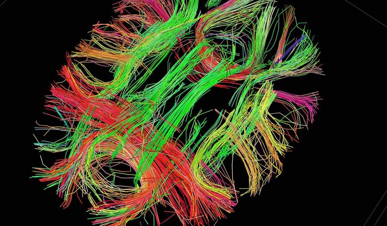 Elon Musk's Neuralink Goes Live 
