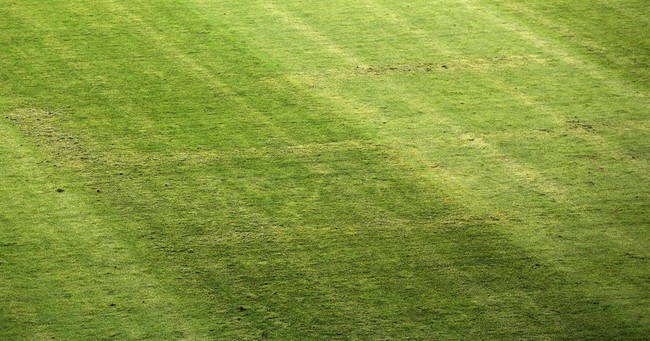 Asking the Big Questions, Exposing the Left