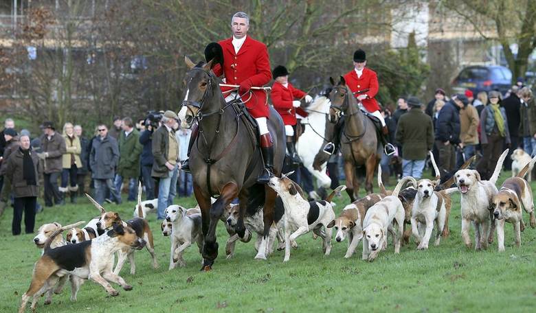 Scottish Separatist Legislators Save English Fox Hunting Ban