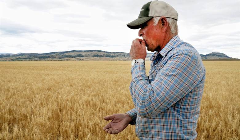 They Haven't Stopped: Chinese Students Attempted to Smuggle Agricultural Bioweapon Into US
