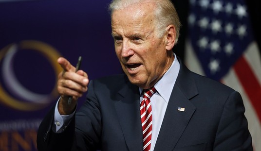 Biden is a Viable Option