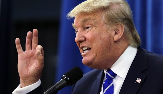 Trump/Sanders 2016-Embrace the Berning Hair