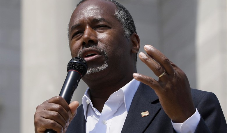 The Alternative Nonpolitician