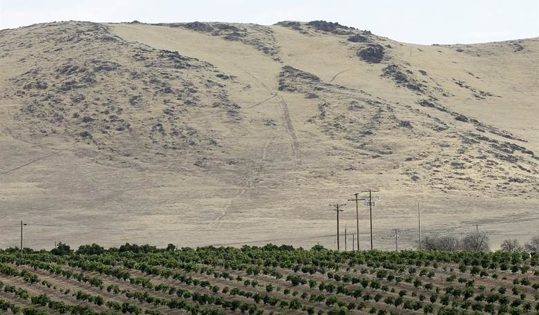 Trade War and Farming Causalities