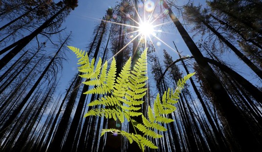 To Their Detriment, Republicans Play Climate ‘Me Too’
