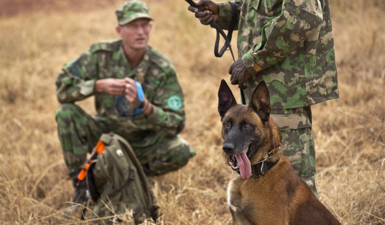 Nicholas Kristof’s IDF ‘Rape-Dogs’ Accusation Adds to the Bizarre List of Israel Weaponizing Wildlife
