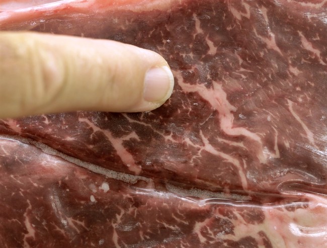 Florida Republicans Want to Ban Lab-Grown Meat. I Have a Beef With That. - Vimarsana News