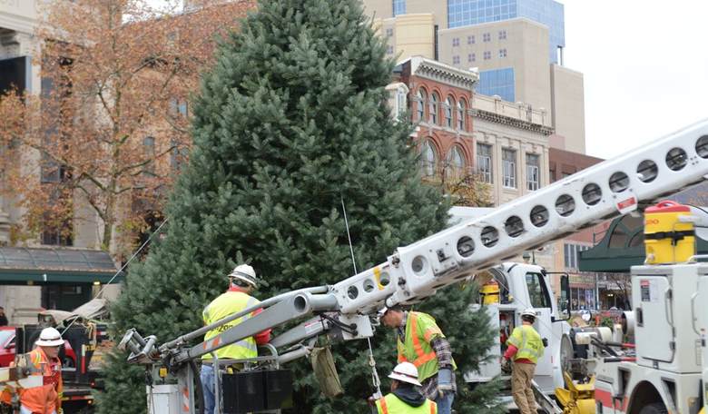 VA Christmas Tree Ban Causes Yuletide Uprising