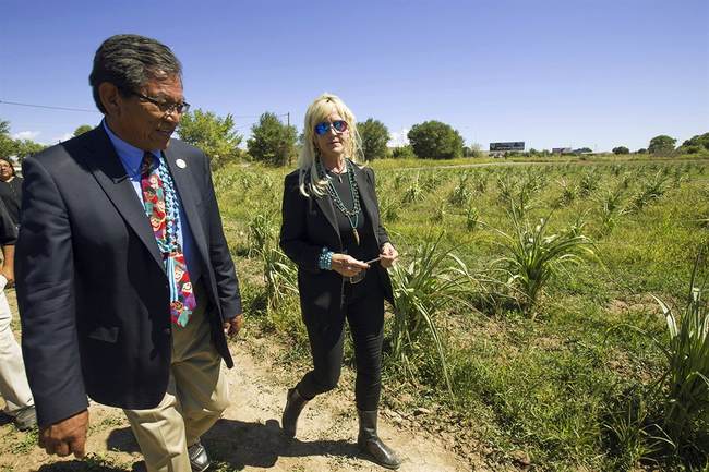 Erin Brockovich Puts AI Data Centers on the Map