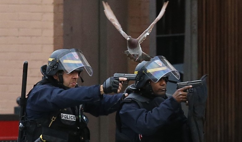 The Paris Attacks and the Rise of ISIS