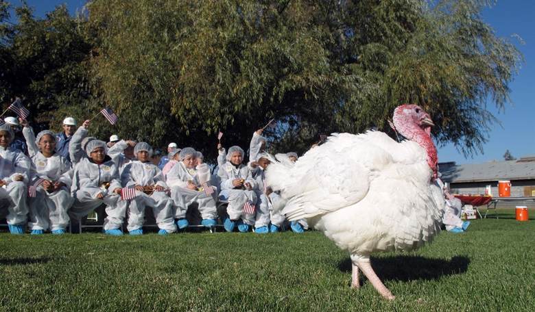 Giving Thanks. No, for Real