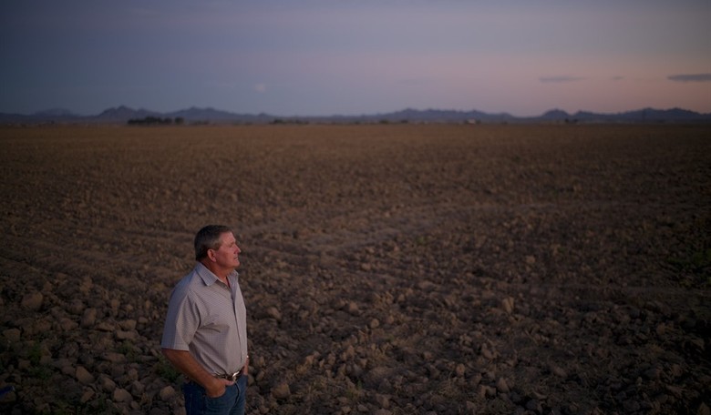 Where Did All the Workers Go? Some of Them Bought the Farm