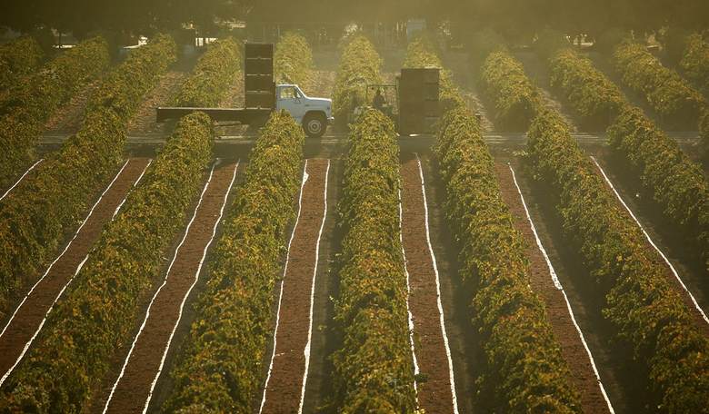 India: Yet Another Example of Really Bad Government Damaging Really Good Farms