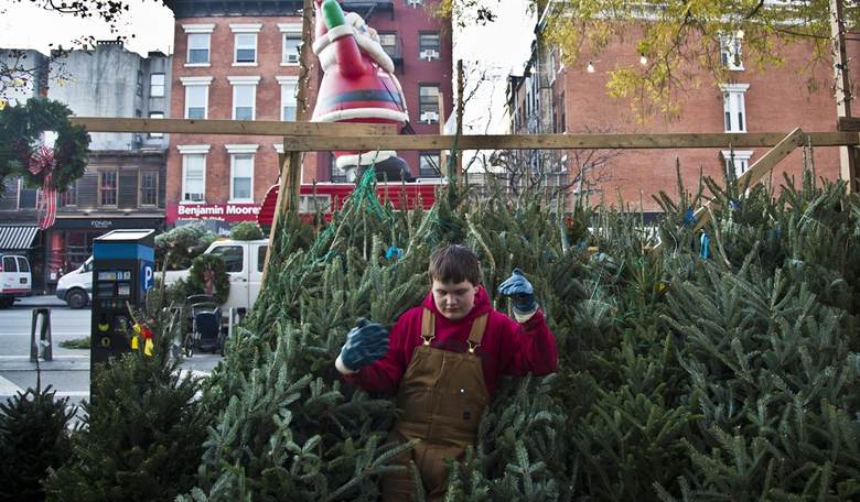 This Season, Spread the Joy