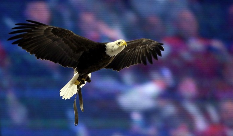 It's Not Too Late to Save America